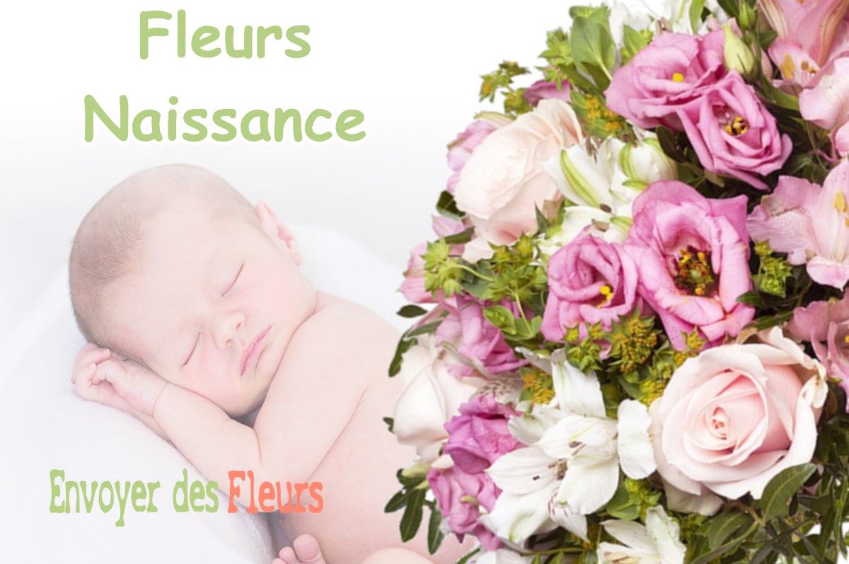 lIVRAISON FLEURS NAISSANCE à VAUQUOIS